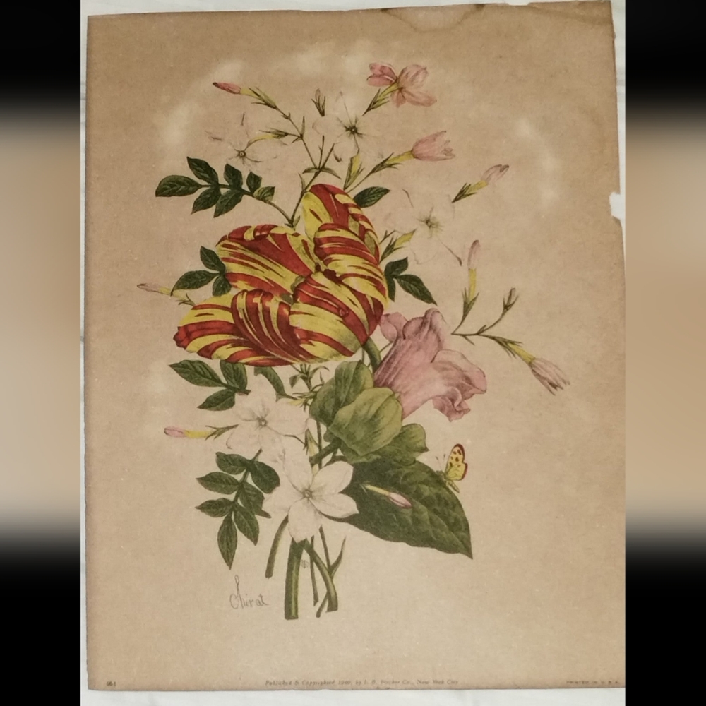 Set of Two 1940's Botanical Art Pieces By Jean Louis Prevost and Benoit Shirat